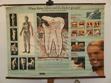 Dental Care Dentist Health Stay Healthy Blendax~1970 Mural 101x75cm