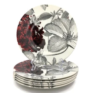 Andrew Tanner CLEMATIS RED Salad Plates (6) Red Grey Flowers Blossoms MINT Cond. - Picture 1 of 18