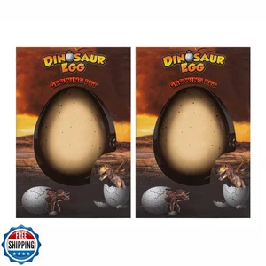 Surprise Growing Dinosaur Hatch Egg Kids Novelty Toy- Pack of 2 - Picture 1 of 5
