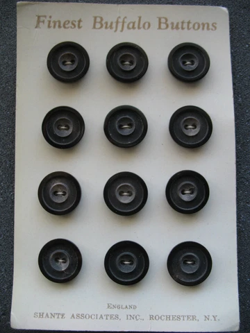 Vintage Buffalo Horn Buttons Finest Full Card Shantz England Cover
