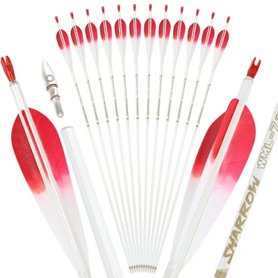 32" Pure Carbon Arrow SP400-800 5" Feather Archery Screw Tips Bow Hunting Target - Image 1 of 4
