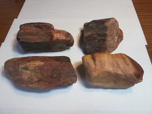 Petrified Wood Rough 300g to 400g Natural Brown Rock Australia Cabbing Gemstone - Foto 1 di 7