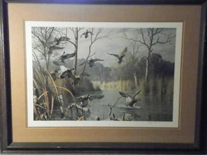 Oxbow Sorcery - Mallards By Harry C. Adamson 18 x 27 Signed 372 of 480 - Picture 1 of 5