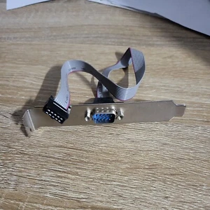 10 Pin Header To DB9 With Slot Cover - Picture 1 of 1