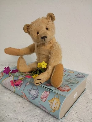 ANTIGUO OSO STEIFF Foto 1 de 4