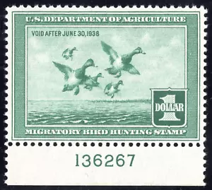 US 1937 FEDERAL DUCK HUNTING STAMP SC. RW4 WITH PLATE # MARGIN MINT NEVER HINGED - Picture 1 of 2