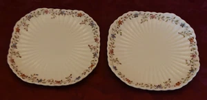 Set of 2 Vintage Copeland Spode 8.5" Luncheon Plates Floral WICKER DALE Pattern - Picture 1 of 4