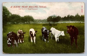 K1/ Higgins Texas Postcard c1910 Cow Ranch Cattle Farm 282 - Picture 1 of 4