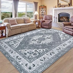Grey 4X6 Area Rugs for Living Room, Machine Washable Low-Pile Carpet Rug for Bed - Picture 1 of 7
