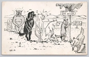 Tarjeta postal cómica humor perros alineados para orinar en árbol en el desierto Next Tree 250 millas - Imagen 1 de 2