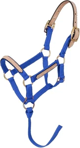 Miniature Nylon Break-Away Halter - Picture 1 of 12
