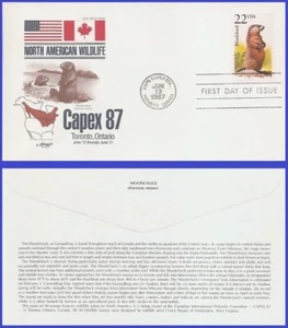 Mandril de madera USA4 #2307 U/A ARTMASTER FDC - Imagen 1 de 1