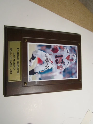 Signed 4" X 6" Photo on Plaque Dan Marino Football Immortal Hall Of Fame 2005 Cover