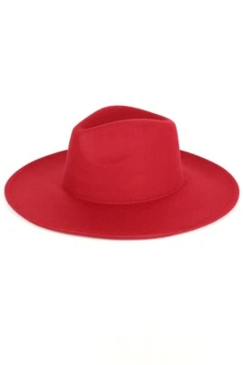 ScarvesMe Clásico Suave Ala Ancha Lana Fieltro Liso Color Sólido Panamá Vestido Sombrero Foto 1 de 4