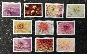 2025USA Forever Dahlien - Set 10 Booklet Singles Mint flowers - Bild 1 von 1