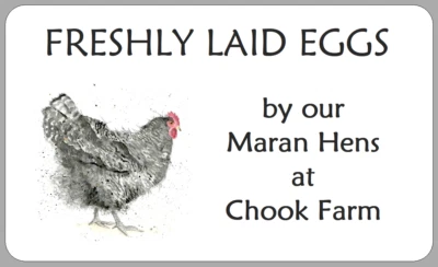 THE LITTLE LABEL COMPANY Maran Hen Egg Box Labels Small Personalised Watercolour Carton Box Stickers