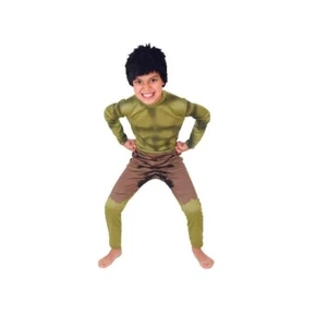 SALE Official Classic Hulk Jumpsuit & Wig Marvel The Avenger Kids Costume - Picture 1 of 1