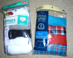 Lot of 2 Fruit of the loom briefs 6 pack & 4 pack Faded Glory woven boxer SZ LG - Picture 1 of 8