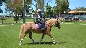 Pony Grass (Control) Chambon Reins - Stop pony from pulling kids out of saddle - Picture 1 of 4