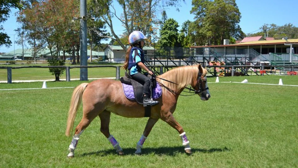 Pony Grass (Control) Chambon Reins - Stop pony from pulling kids out of saddle - image 1 of 4