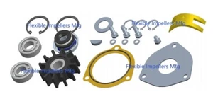 Major Repair Kit For Sherwood Pump G11 G-11 Kilopac Kilo Pac - Picture 1 of 1