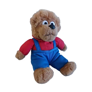 Vintage 1994 Berenstain Bär großer Bruder Teddybär Stofftier Plüschtier 8 Zoll - Bild 1 von 8