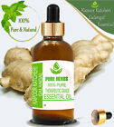 Pure Herbs Kapoor Katcheri Galangal 100% Pure & Natural Galangal Essential Oil