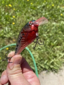 Custom Painted Crankbait 2.5 Squarebill Super Ghost Bleeding Bass - Bild 1 von 11