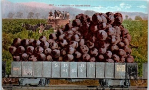 Carro cargado de uvas agricultura ferroviaria - Postal - Imagen 1 de 2