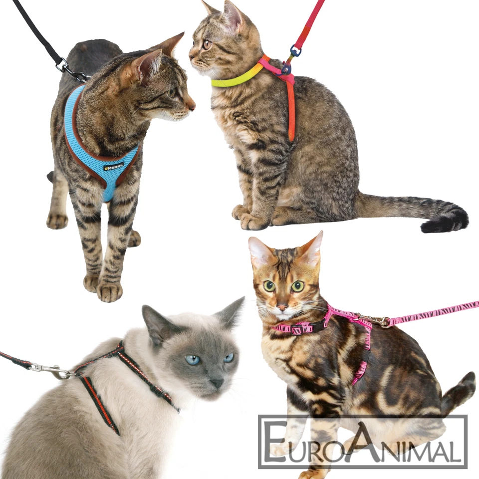 Katzengeschirr Geschirr Halsband für Katze mit Leine Katzengarnitur Katzenleine - Bild 1 von 1