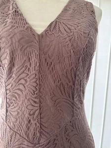 ASOS Size 14 lace summer Special Occasion Dress Bnwt - Picture 1 of 5