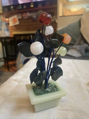 PEQUEÑO ÁRBOL FRUTAL DE FLOR DE PIEDRA DE JADE Foto 1 de 4