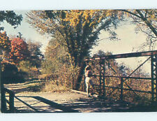 Pre-1980 BRIDGE SCENE Wabasha - Near Winona & Lake City Minnesota MN AD3374