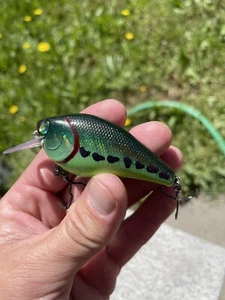 Custom Painted Crankbait 2.5 Squarebill Rattles Toxic Bass - Picture 1 of 6
