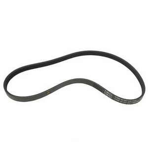 Serpentine Belt Motorcraft JK4-361-A - Picture 1 of 2