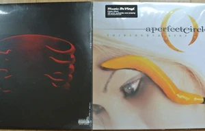 TOOL Undertow 2-LP + A PERFECT CIRCLE Thirteenth Step 2-LP 180g Vinyl GateSealed - Picture 1 of 3