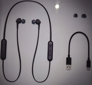 New Sony WI-XB400 Wireless In-Ear Extra Bass Headphones With Mic for Phone Call - Picture 1 of 4