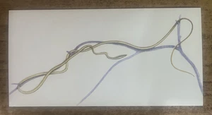 Vintage - 1962 - Gelles Widmer - Reptile CARD -43. Vine Snake - Picture 1 of 2