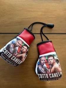 middleweight world championship Mini Boxing Gloves Cotto vs Canelo - Picture 1 of 7