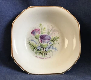 Plato Hughes Longport vintage. Cardo. 'Frae Bonnie Scotland' - Imagen 1 de 4