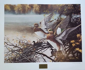 Misty River Widgeon Druck Kentucky Sponsor Druck 2008 Enten - Bild 1 von 3