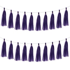20-Pack Tassel Garland Banner with Rope Tissue Paper for Craft Dark Purple - Picture 1 of 6