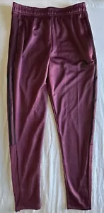 Adidas Tiro Track Aeroready Soccer Pants Burgundy HC7714 Men’s Sz. Small - Picture 1 of 6