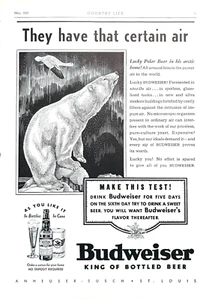 Budweiser Bierwerbung 1937, Eisbär "Sie haben diese bestimmte Luft" 5 Tage Knospentest - Bild 1 von 1