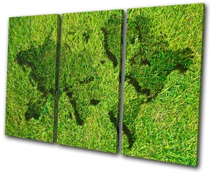 Maps Flags World Atlas Grass TREBLE CANVAS WALL ART Picture Print VA - Picture 1 of 1
