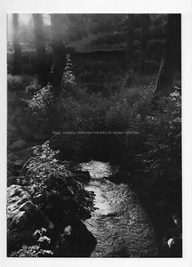 NEU Absolutly Booklet (Helm Newton) - Vintage Absolut Vodka - Bild 1 von 8