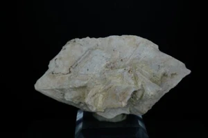 Calcit ps. Glauberit / Copper Canyon, Arizona / 7,8 cm Mineralienpräparat - Bild 1 von 7