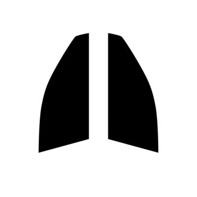 Pre Cut Car Window Tint for Lexus GS 4-door Berlina 2013+ Front Film - Image 1 of 4