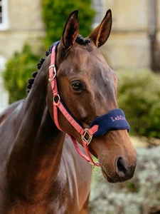 LeMieux Vogue Headcollar & Leadrope Cranberry | Adjustable, Fleece Padding - Picture 1 of 5