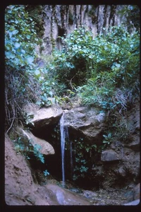35mm Slide 1965 Weeping Rock - Picture 1 of 1